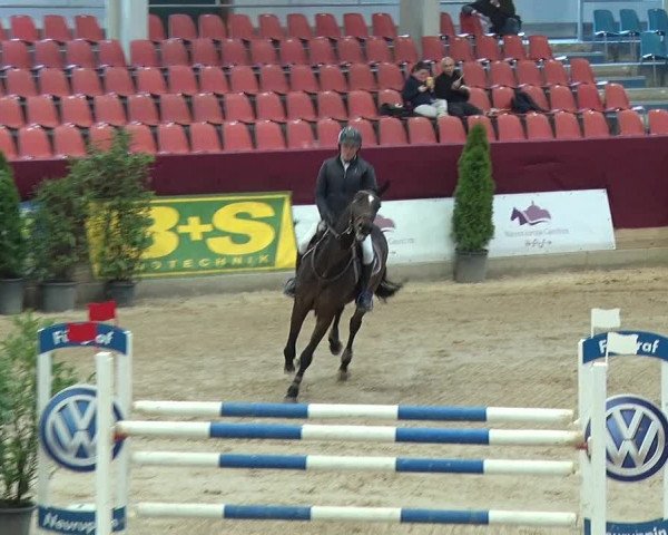 Reitturnier Neustadt/Dosse 2019