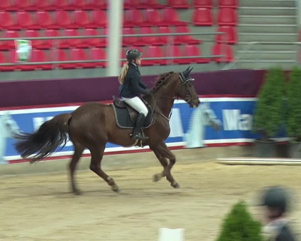 Reitturnier Neustadt/Dosse 2019