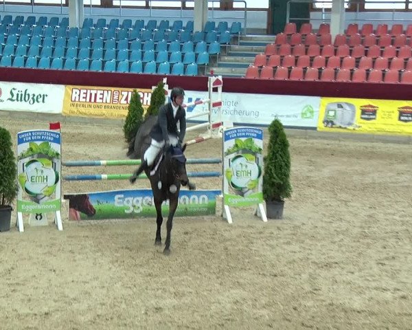 Reitturnier Neustadt/Dosse 2019