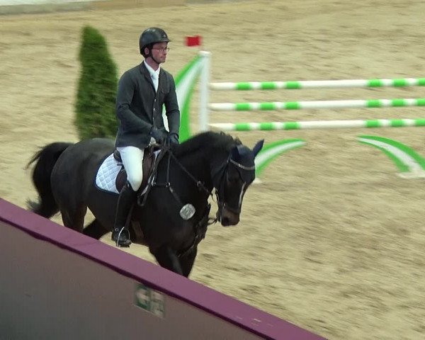 Reitturnier Neustadt/Dosse 2019