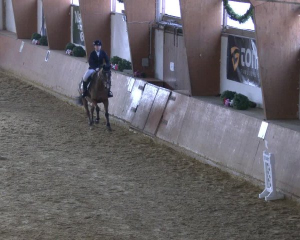 Reitturnier Bad Salzuflen 2019