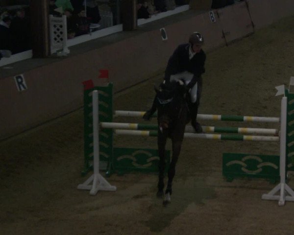Reitturnier Bad Salzuflen 2019