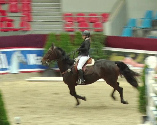 Reitturnier Neustadt/Dosse 2019