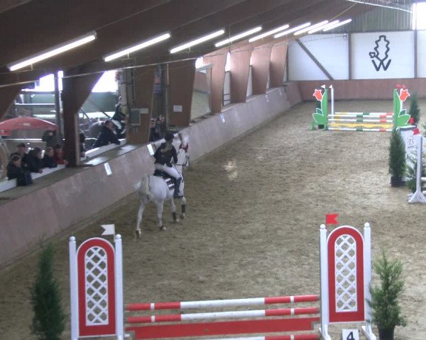 Reitturnier Bad Salzuflen 2019