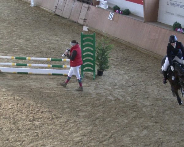Reitturnier Bad Salzuflen 2019