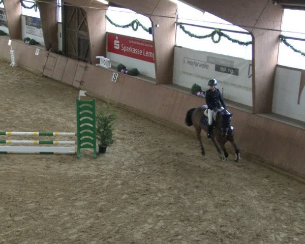 Reitturnier Bad Salzuflen 2019