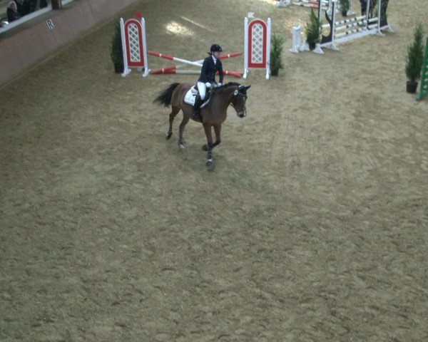 Reitturnier Bad Salzuflen 2019