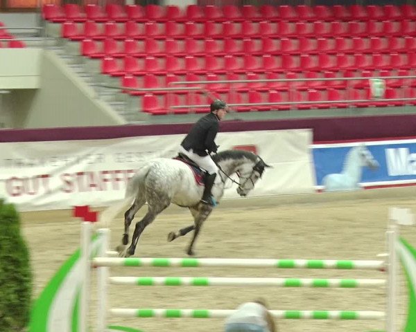 Reitturnier Neustadt/Dosse 2019