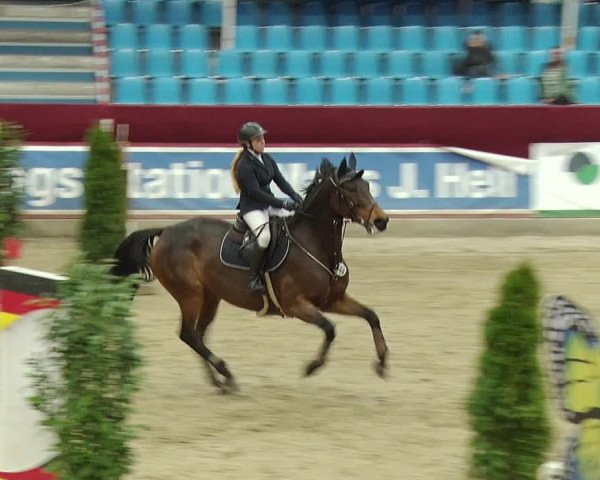 Reitturnier Neustadt/Dosse 2019
