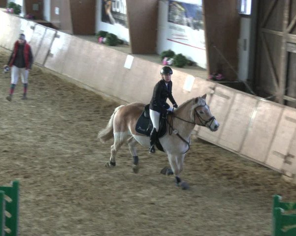 Reitturnier Bad Salzuflen 2019