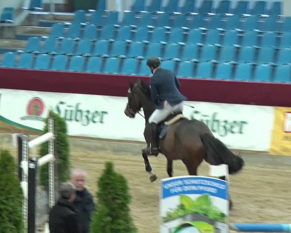 Reitturnier Neustadt/Dosse 2019