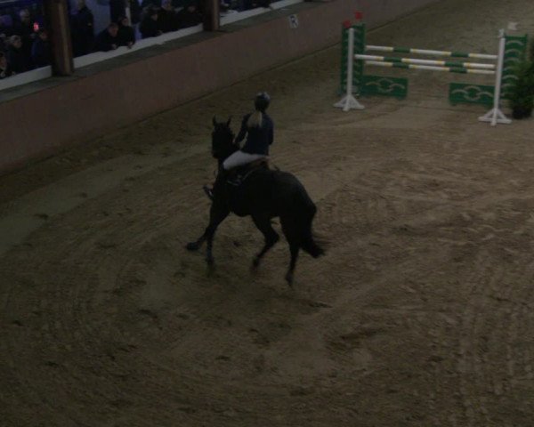 Reitturnier Bad Salzuflen 2019