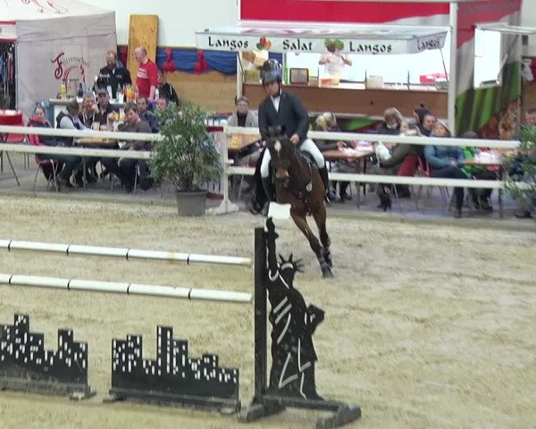 Reitturnier Neustadt/Dosse 2019