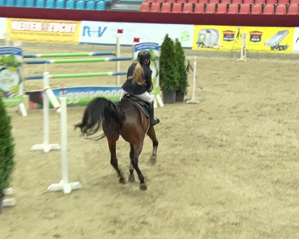 Reitturnier Neustadt/Dosse 2019