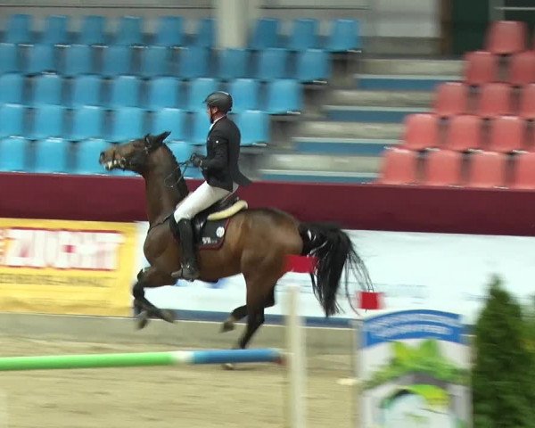 Reitturnier Neustadt/Dosse 2019