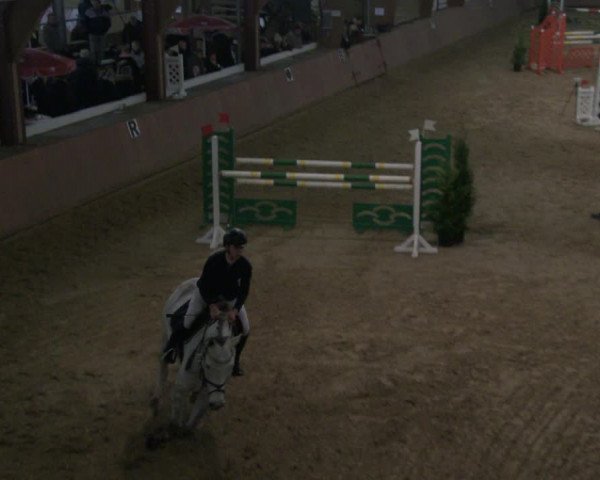 Reitturnier Bad Salzuflen 2019