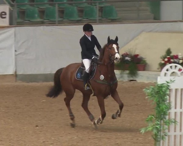 Reitturnier Kreuth/Opf. 2019