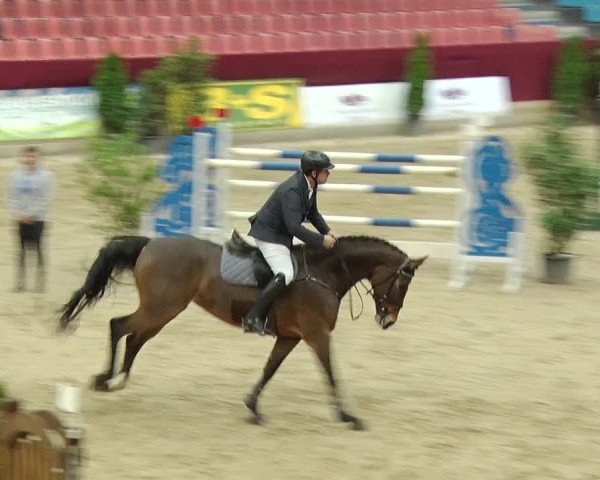 Reitturnier Neustadt/Dosse 2019