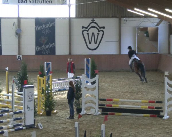 Reitturnier Bad Salzuflen 2019