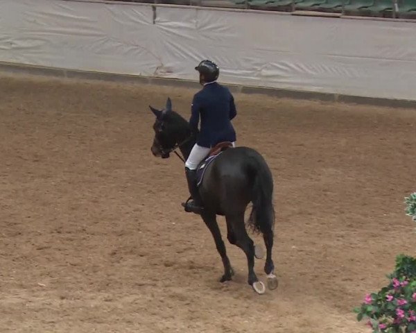 Reitturnier Kreuth/Opf. 2019