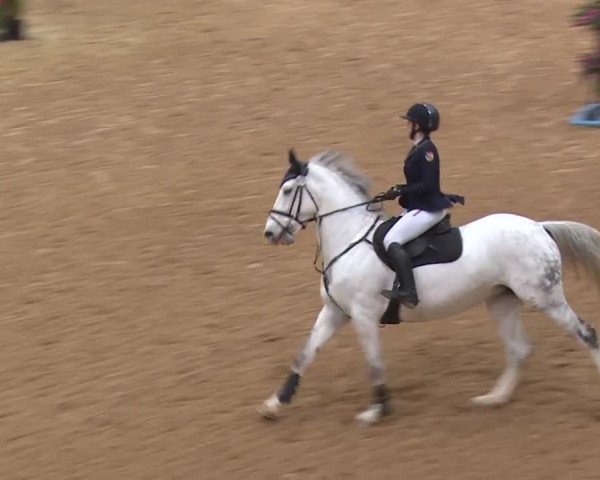 Reitturnier Kreuth/Opf. 2019