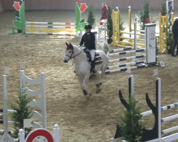 Reitturnier Bad Salzuflen 2019