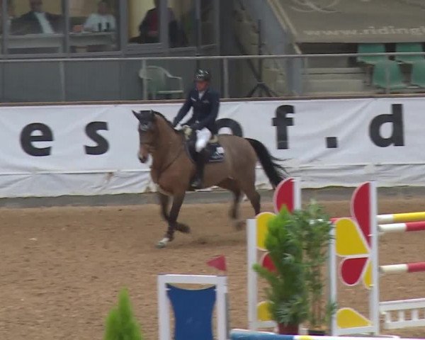 Reitturnier Kreuth/Opf. 2019
