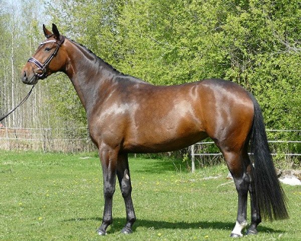 horse Dardella JL (F2) (Swedish Warmblood, 2012, from Sir Donnerhall II OLD)