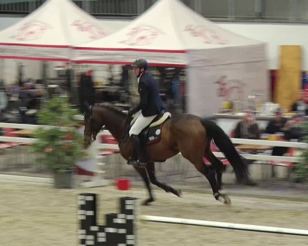Reitturnier Neustadt/Dosse 2019