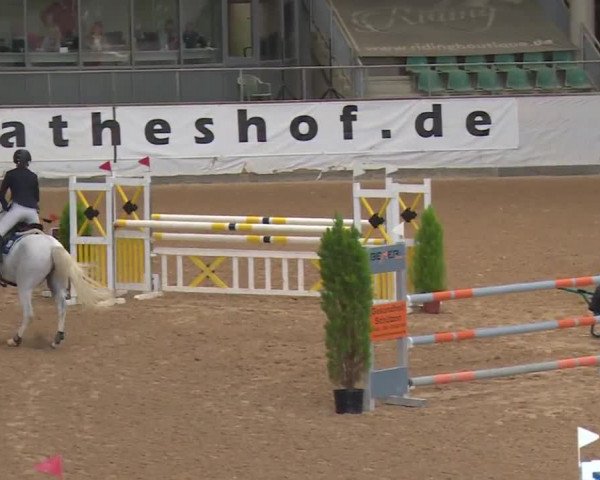 Reitturnier Kreuth/Opf. 2019