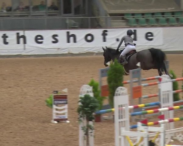 Reitturnier Kreuth/Opf. 2019