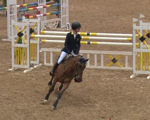 Reitturnier Kreuth/Opf. 2019