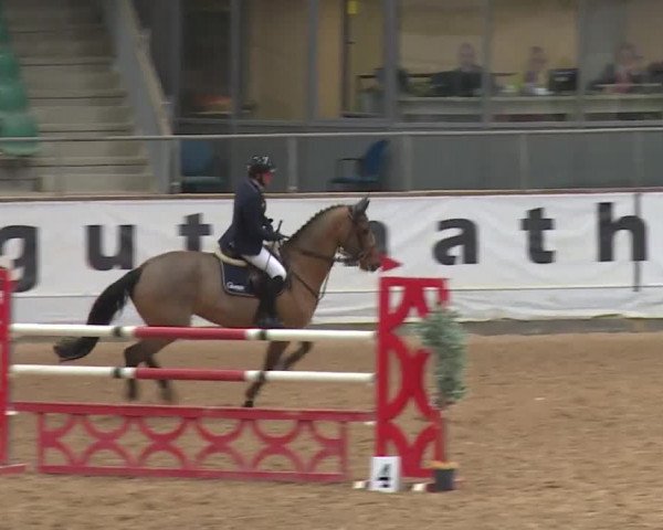 Reitturnier Kreuth/Opf. 2019