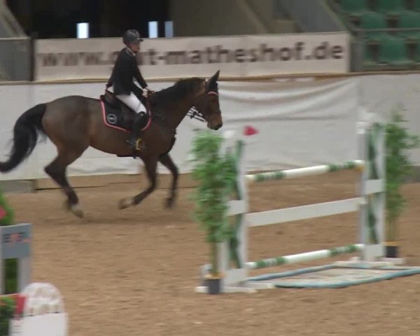 Reitturnier Kreuth/Opf. 2019