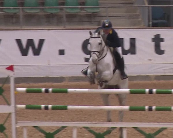 FEI Reitturnier Kreuth/Opf. 2019