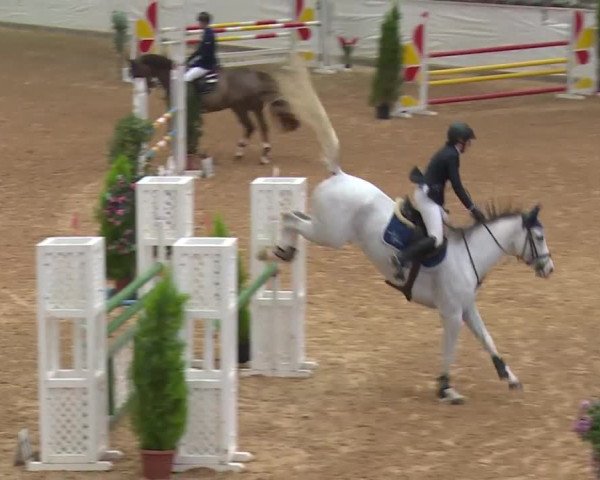 Reitturnier Kreuth/Opf. 2019