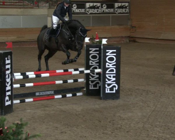 Reitturnier Paderborn 2019
