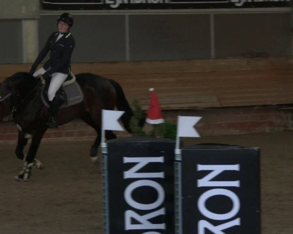 Reitturnier Paderborn 2019