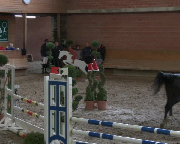 Reitturnier Paderborn 2019