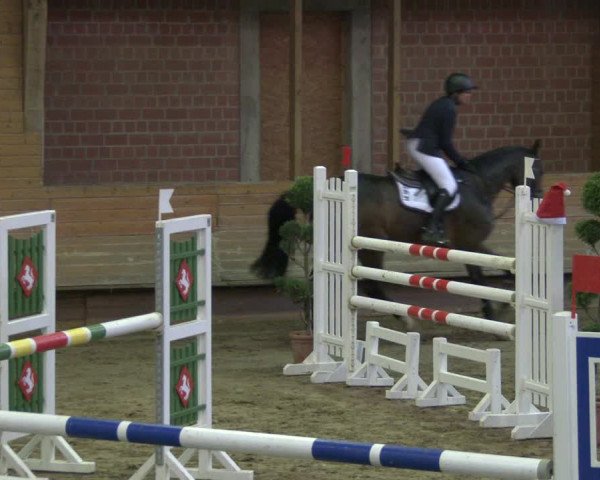 Reitturnier Paderborn 2019