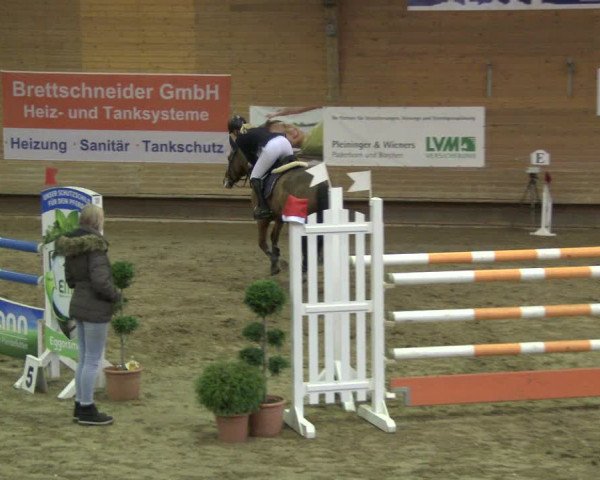 Reitturnier Paderborn 2019
