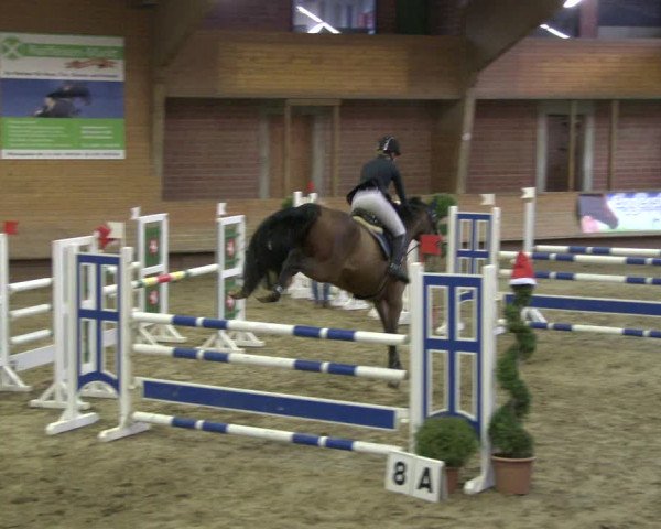 Reitturnier Paderborn 2019
