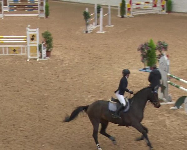 Reitturnier Kreuth/Opf. 2019