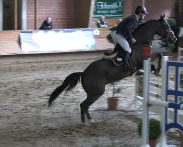 Reitturnier Paderborn 2019