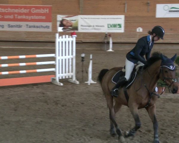 Reitturnier Paderborn 2019