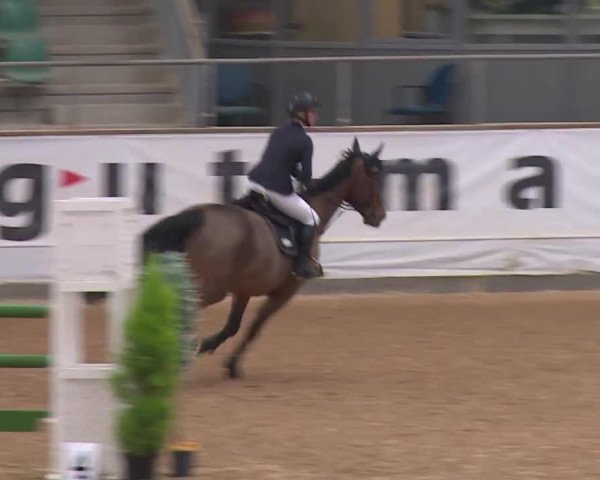 Reitturnier Kreuth/Opf. 2019