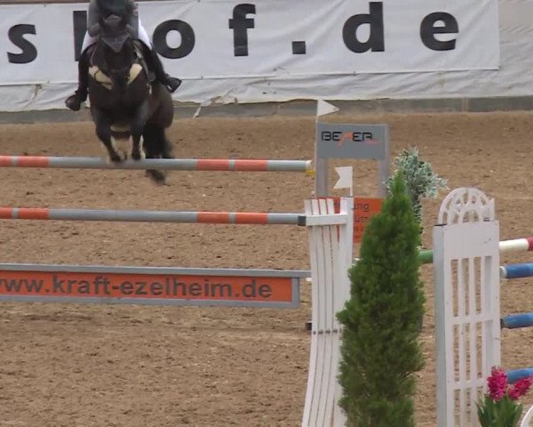 Reitturnier Kreuth/Opf. 2019