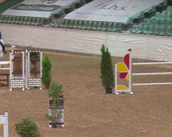 Reitturnier Kreuth/Opf. 2019
