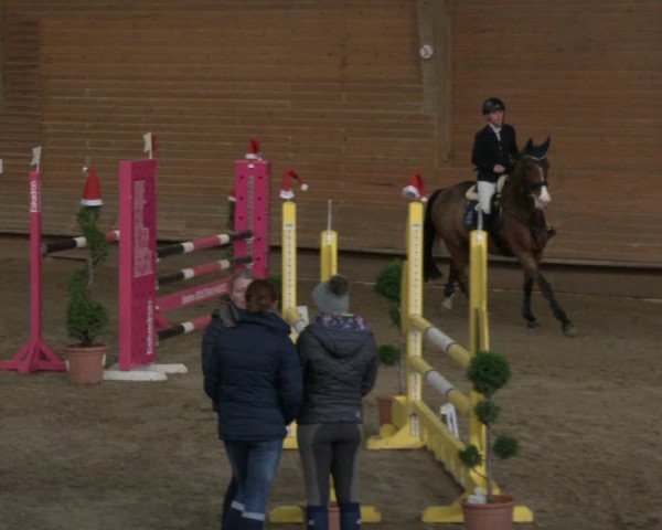 Reitturnier Paderborn 2019