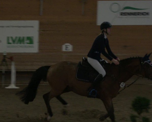 Reitturnier Paderborn 2019